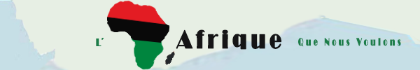 L'Afrique que on veut